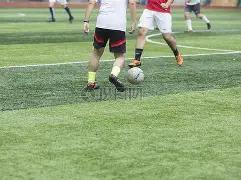 梦之队成员,多纳鲁马盛,赞瓜迪奥拉,BB贝博艾弗森体育BB官网,BBBB贝博艾弗森娱乐,BB贝博艾弗森体育投注,BB贝博艾弗森体育平台,BB贝博艾弗森赛事直播,BB贝博艾弗森体育app下载