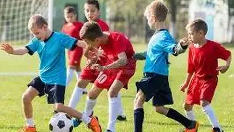 BB贝博艾弗森体育