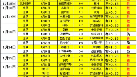 BB贝博艾弗森体育